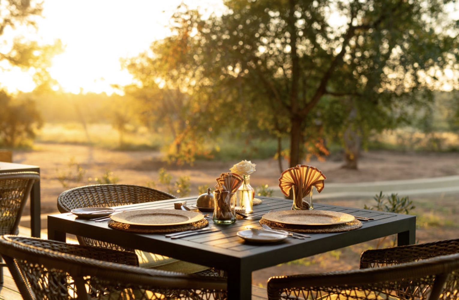 Bush dining setup in Timbavati